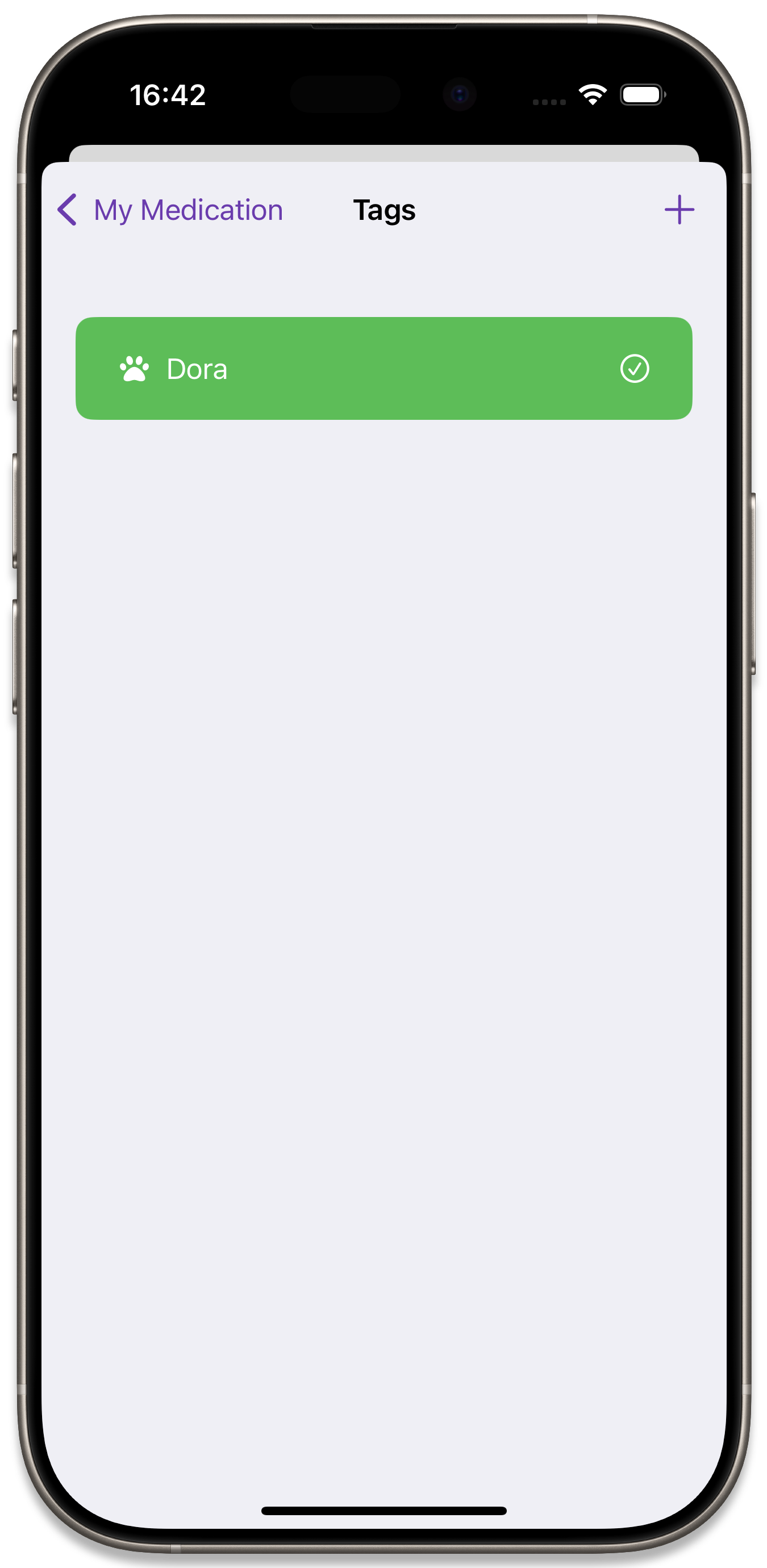 The tag list with a new tag added